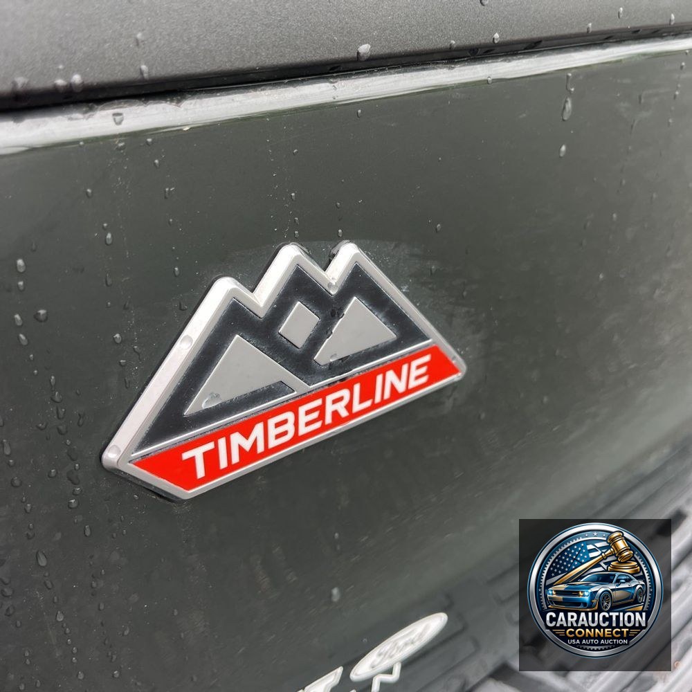 2022 Ford Expedition Timberline