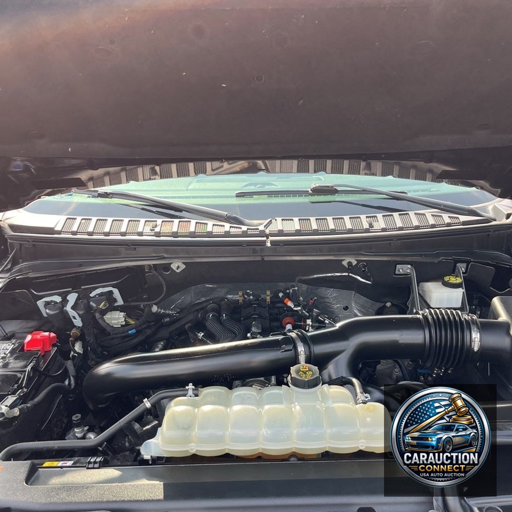 2022 Ford Expedition Timberline