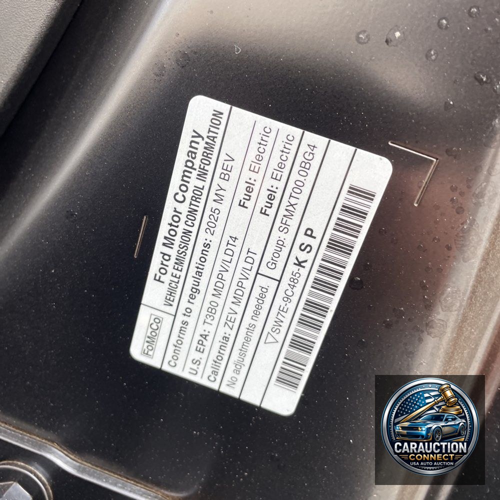 2025 Ford F-150 Lightning Flash