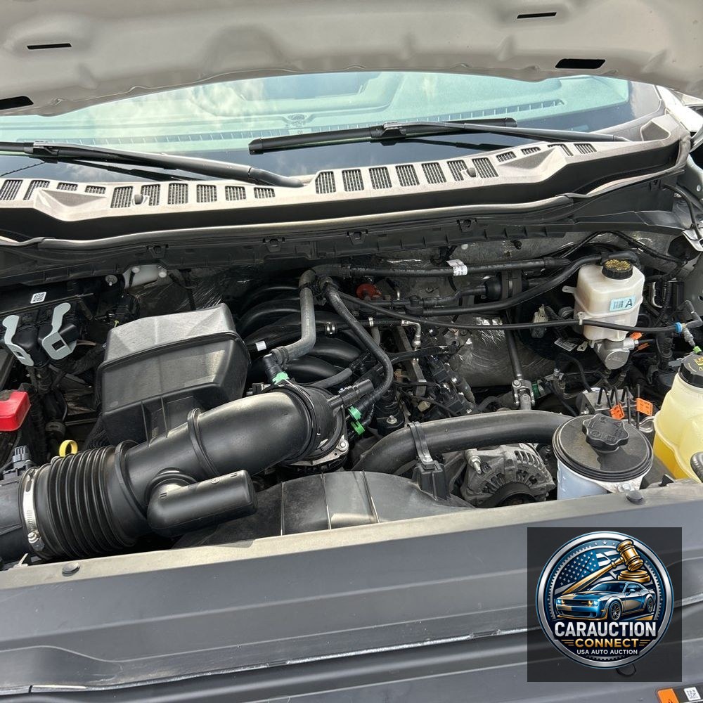 2024 Ford F-250 Super Duty XLT