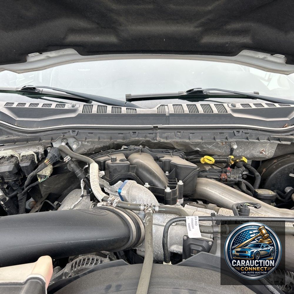 2017 Ford F-250 Super Duty Platinum