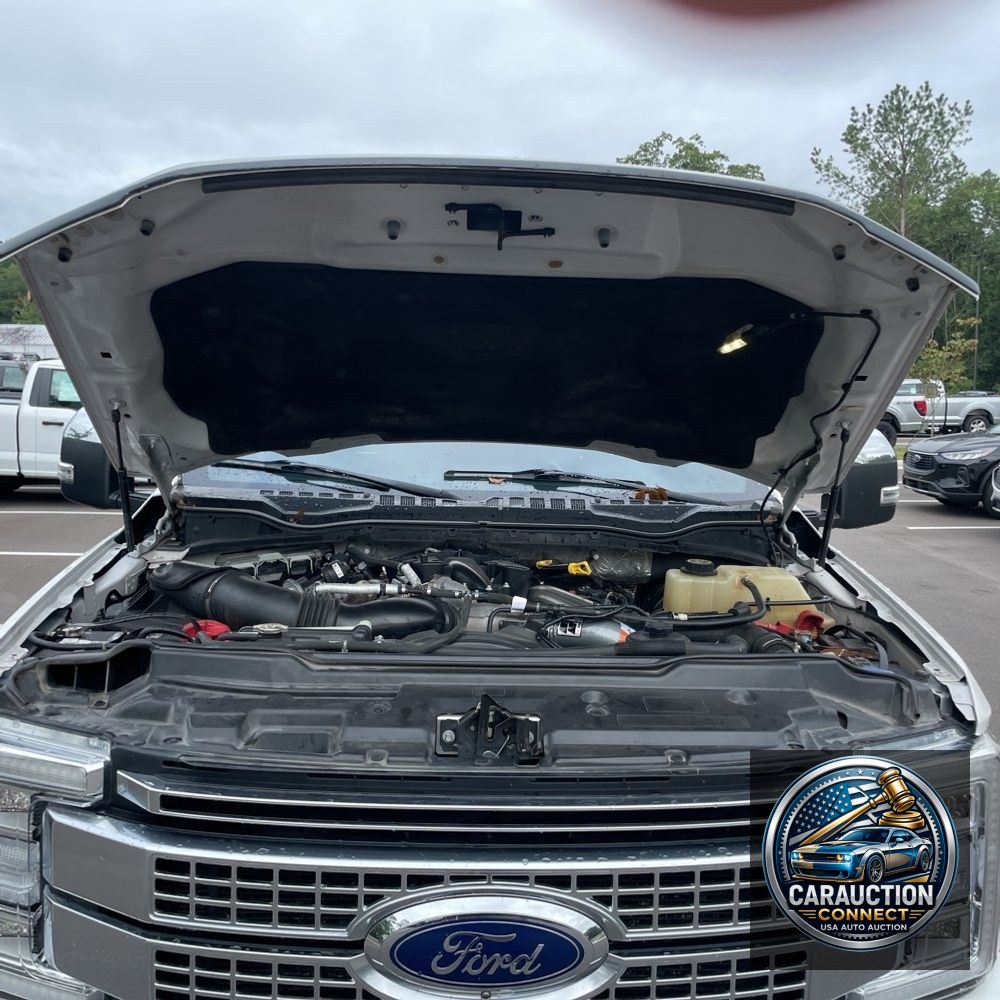 2019 Ford F-250 Super Duty Platinum