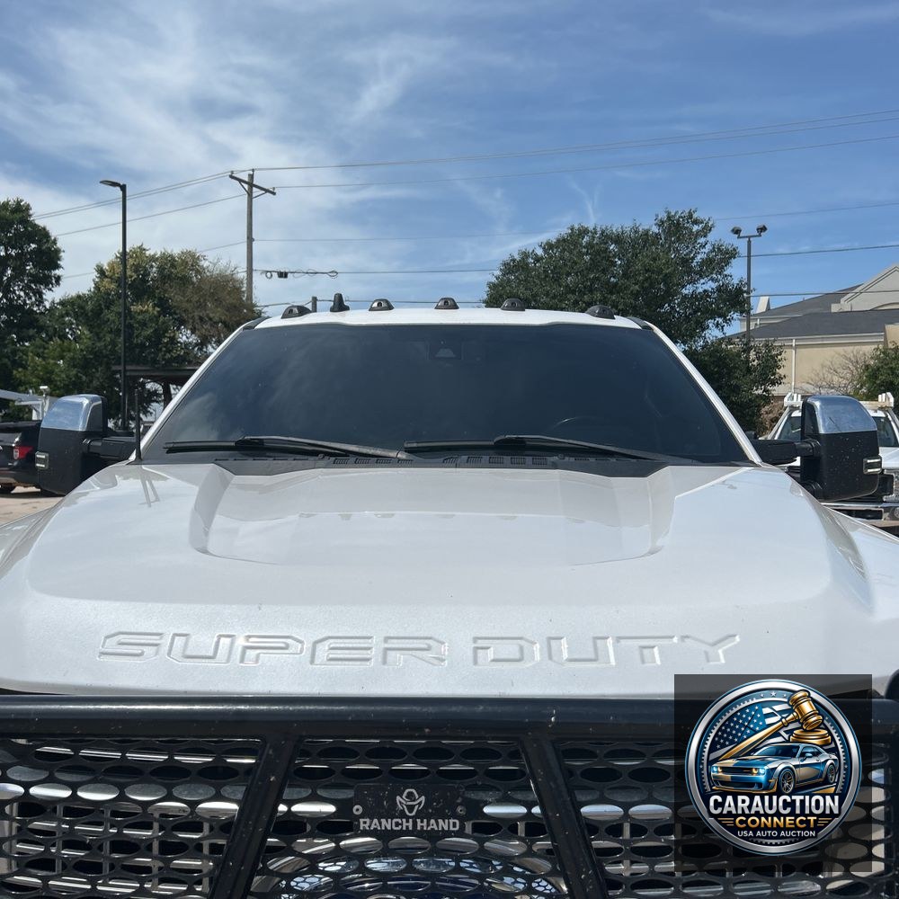 2019 Ford F-250 Super Duty Platinum