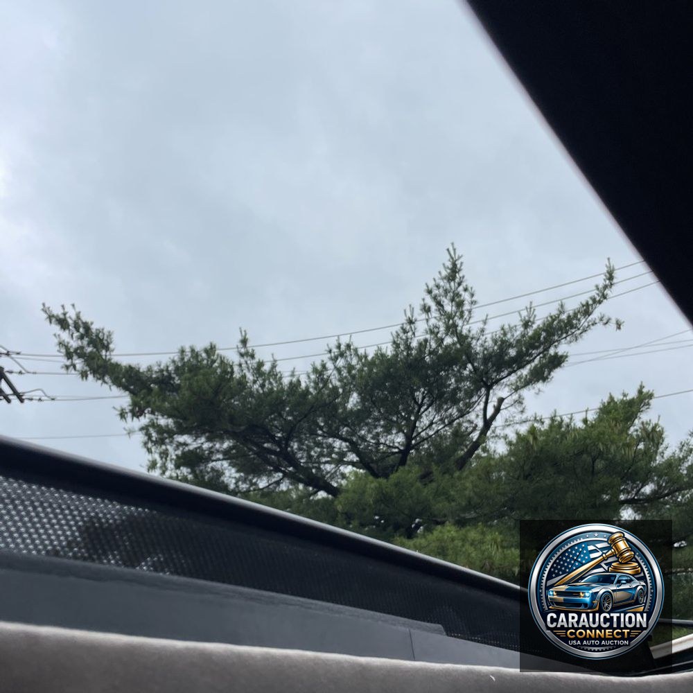 2019 Ford F-250 Super Duty Limited