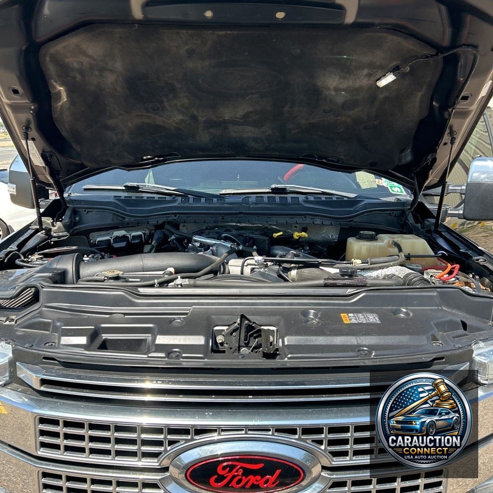 2017 Ford F-250 Super Duty Platinum