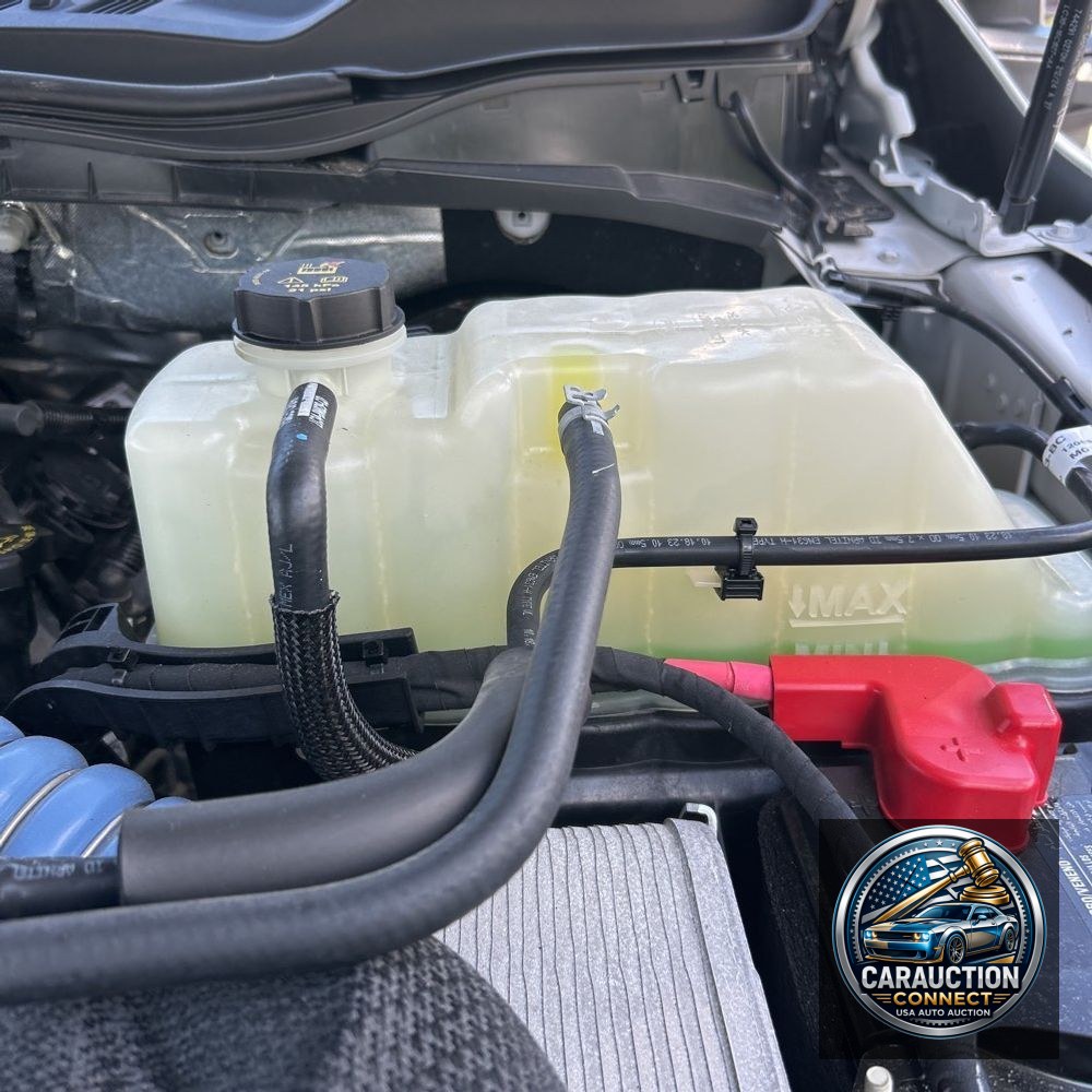 2024 Ford F250 S/D Platinum