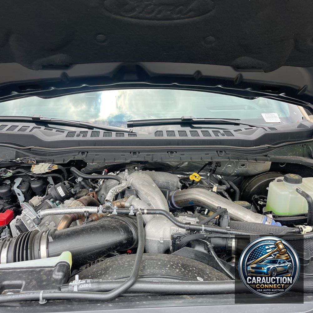 2025 Ford F250 S/D Platinum