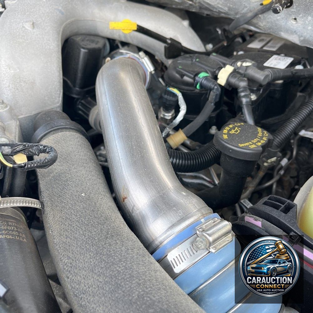 2022 Ford F350 S/D Platinum