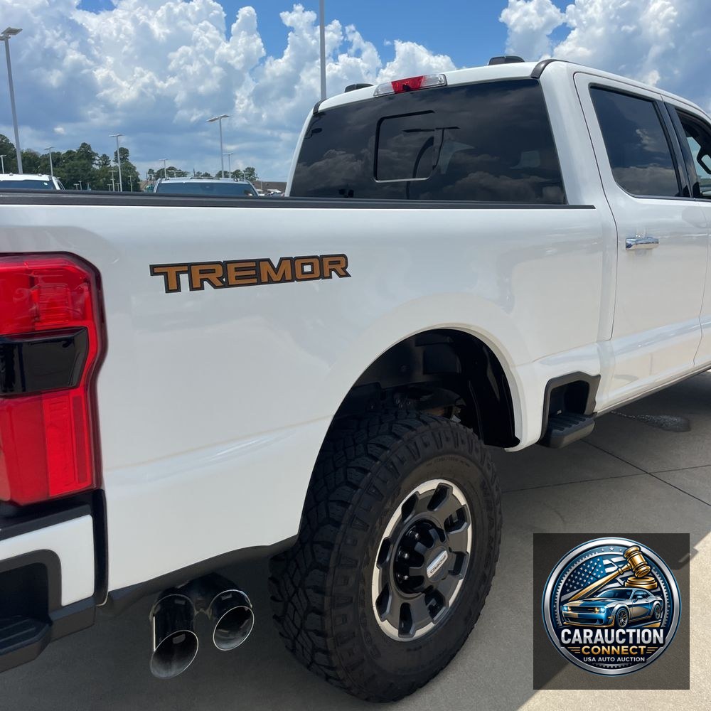 2024 Ford F-250 Super Duty Platinum