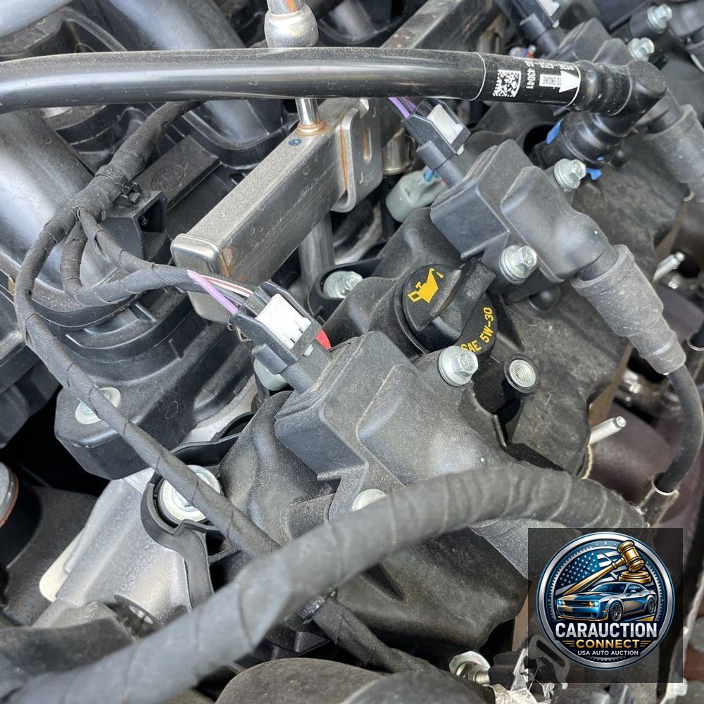 2024 Ford F-350 Super Duty XLT