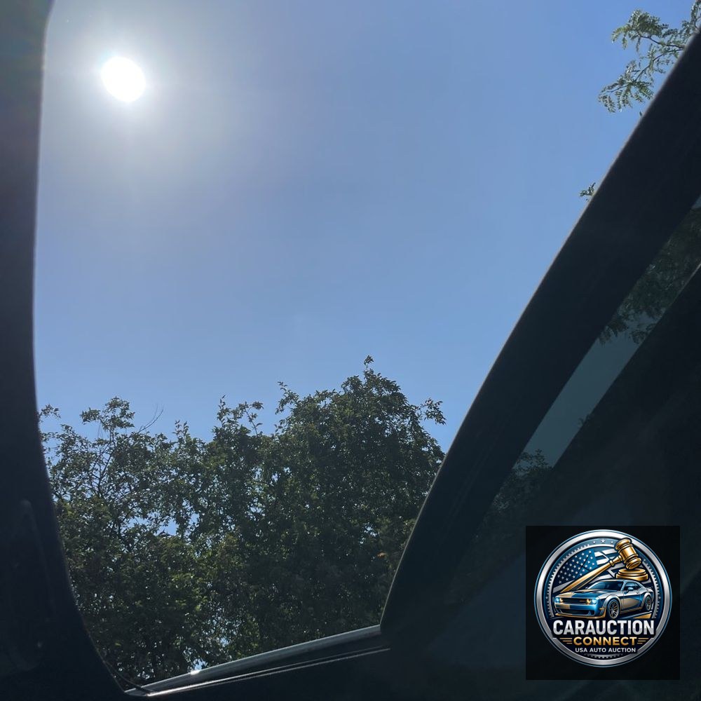 2020 Ford F350 S/D Platinum