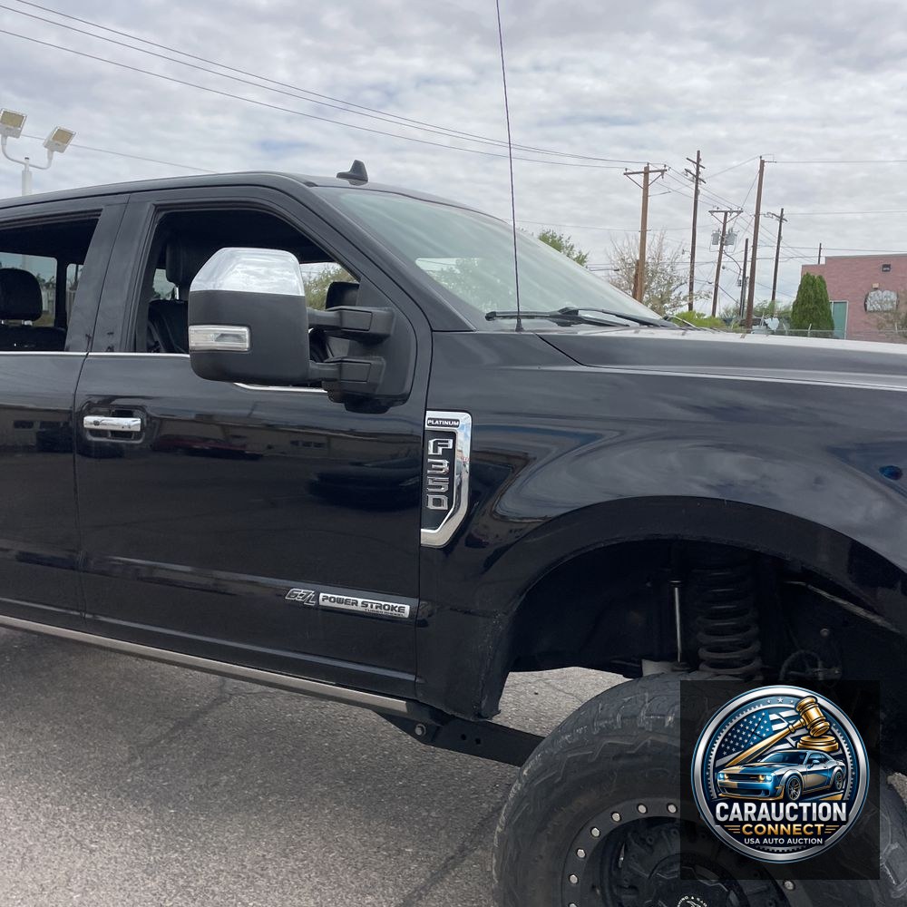 2019 Ford F350 S/D Platinum