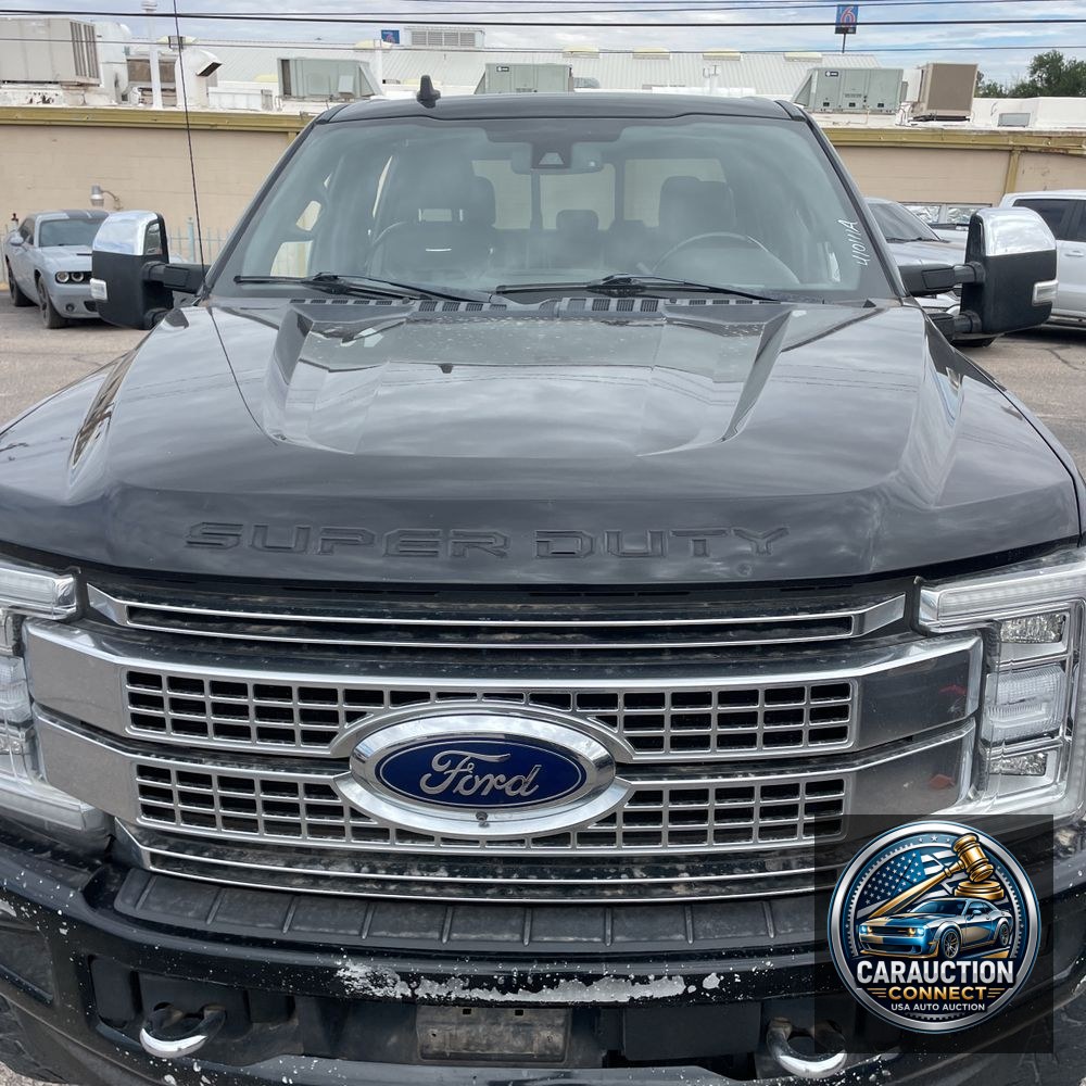 2019 Ford F350 S/D Platinum