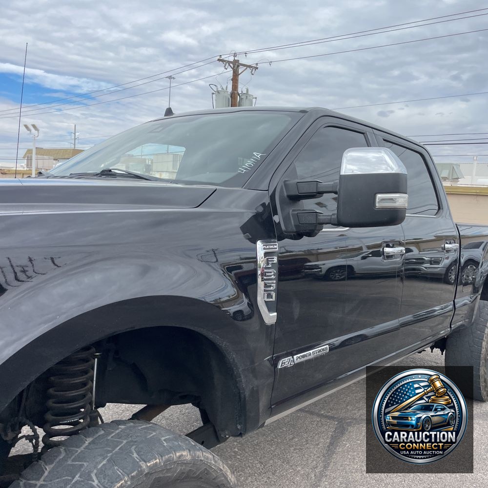 2019 Ford F350 S/D Platinum