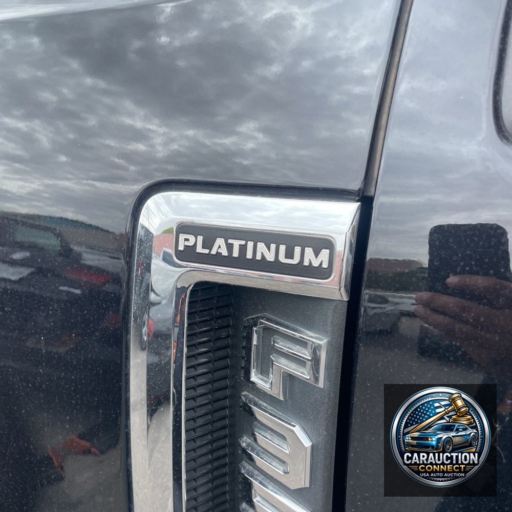 2019 Ford F350 S/D Platinum