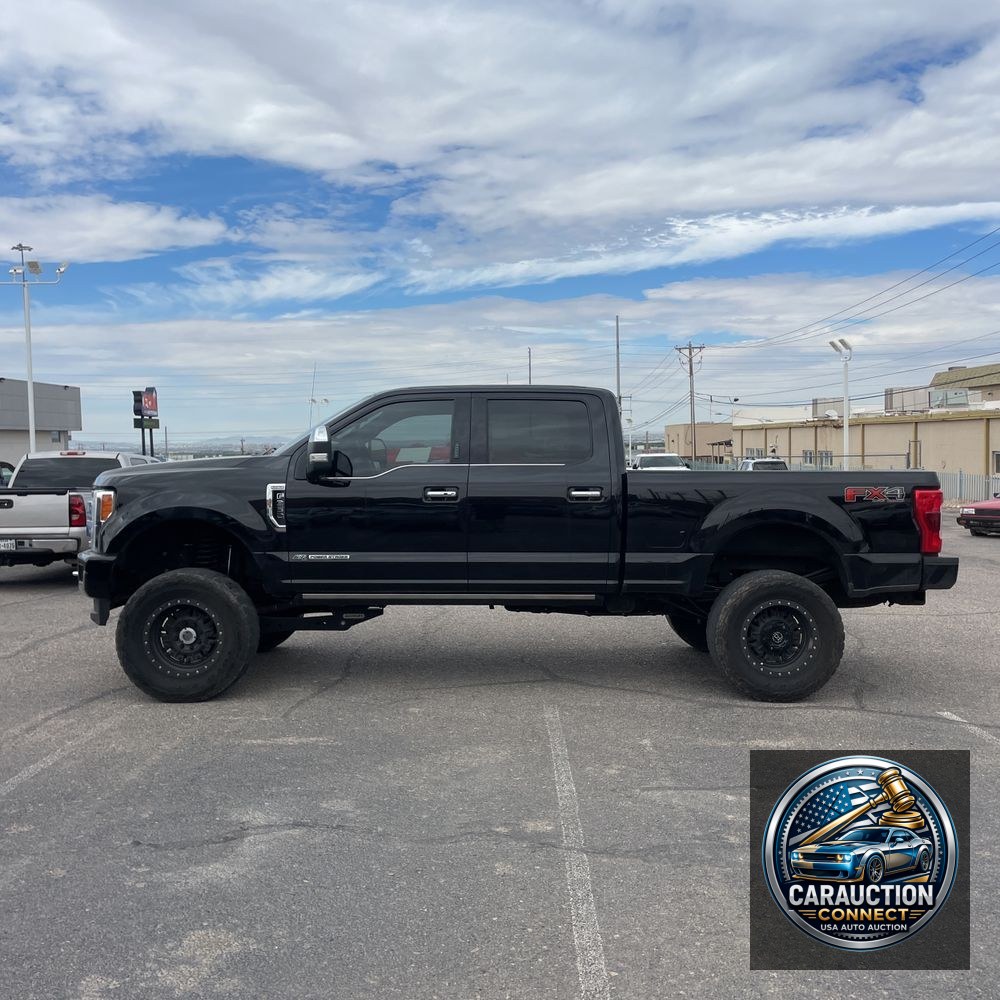 2019 Ford F350 S/D Platinum
