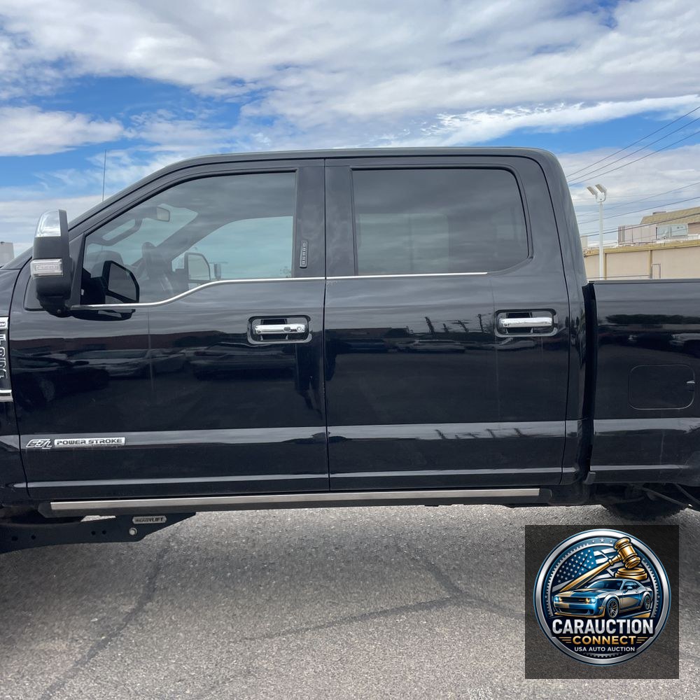 2019 Ford F350 S/D Platinum