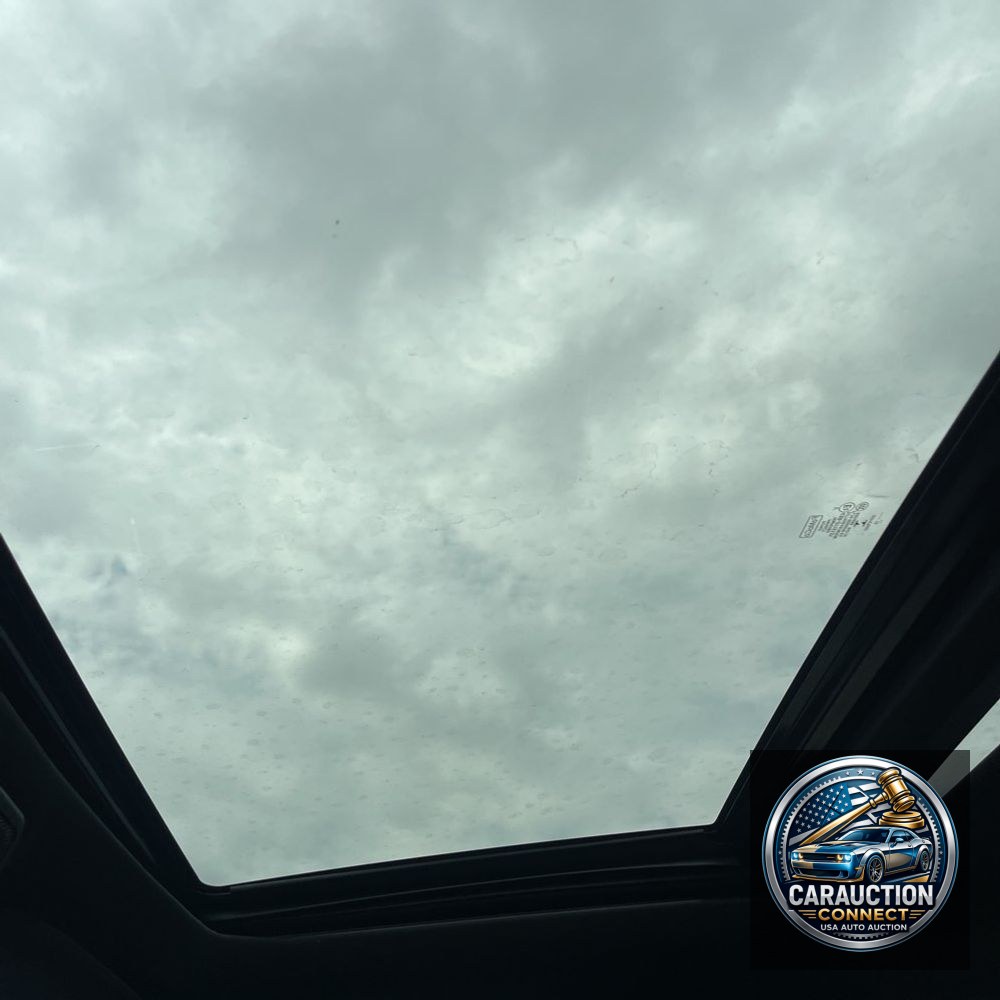 2019 Ford F350 S/D Platinum