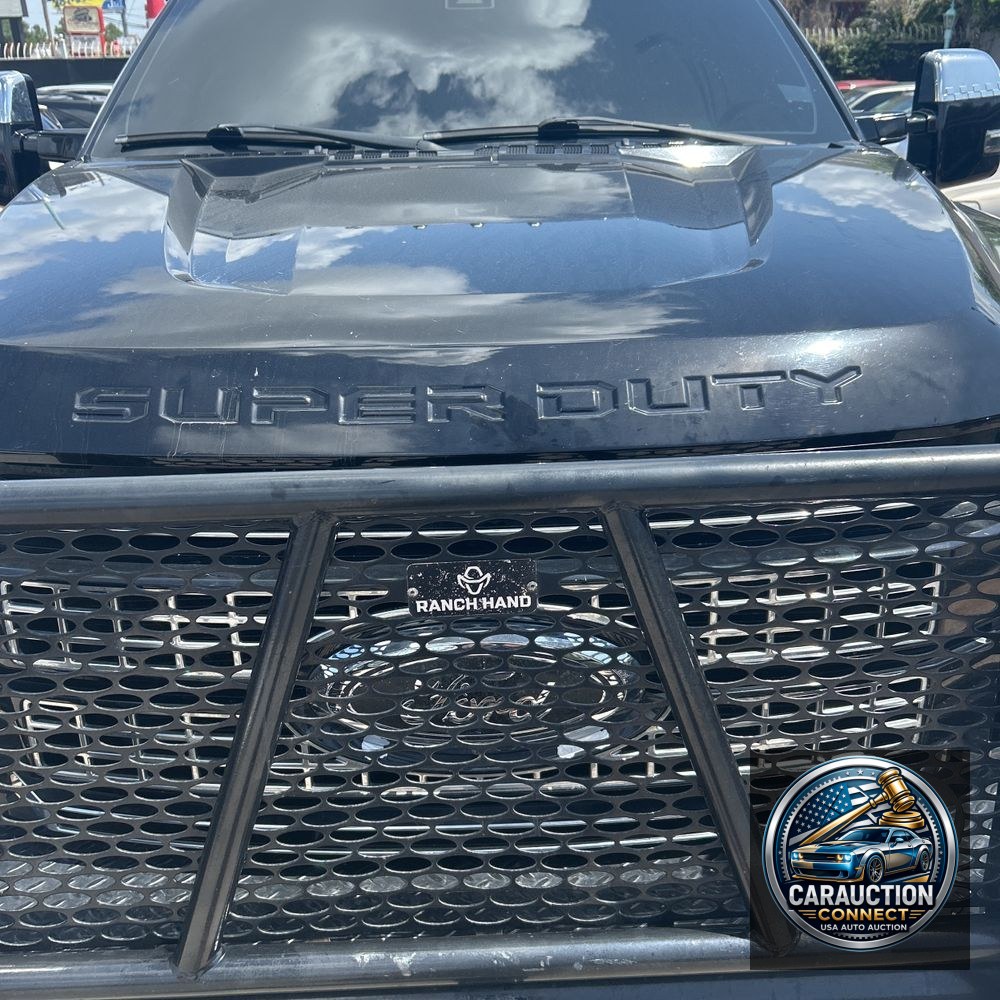 2017 Ford F350 S/D Platinum