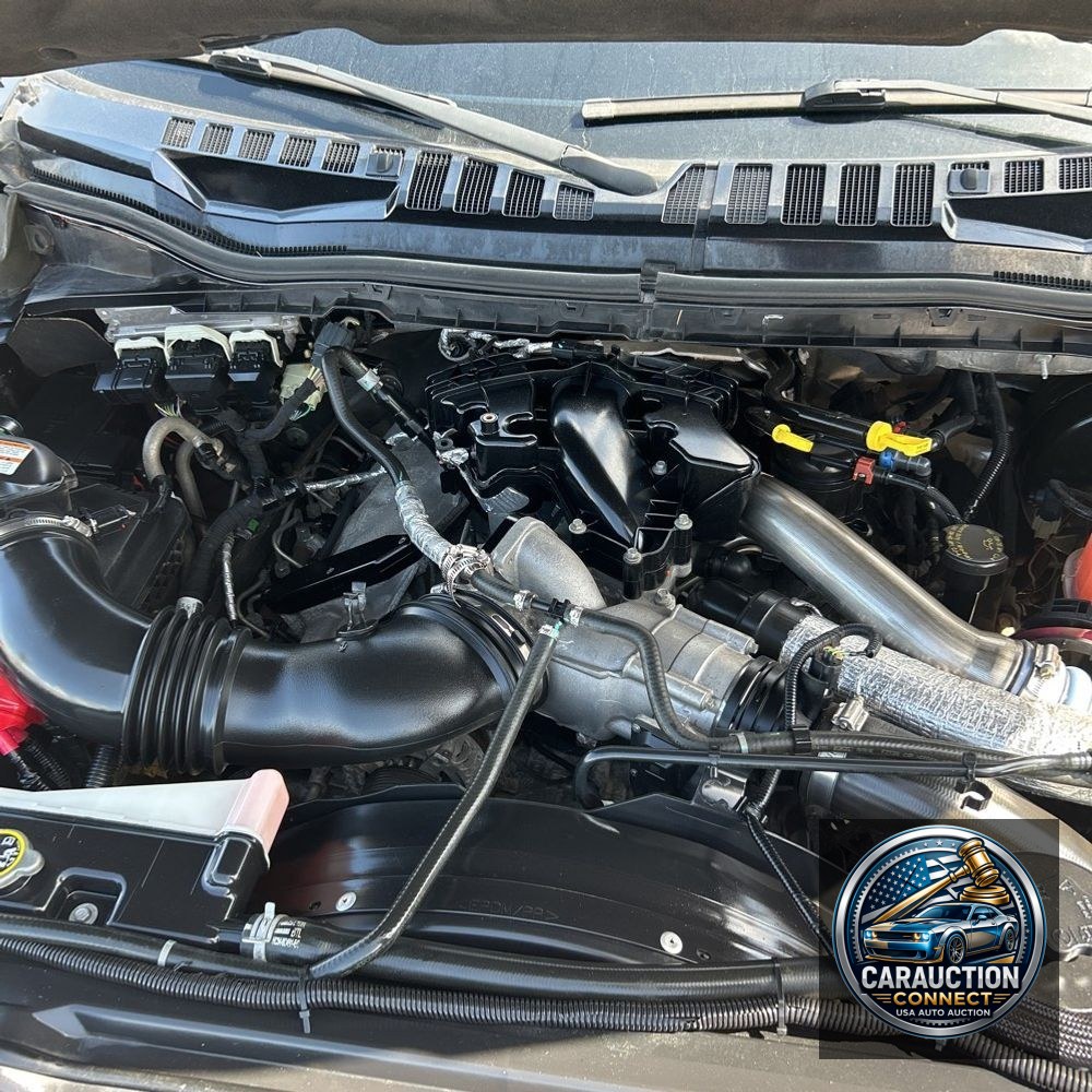 2017 Ford F350 S/D Platinum