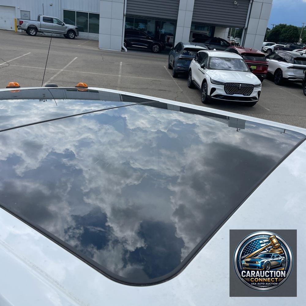 2017 Ford F350 S/D Platinum