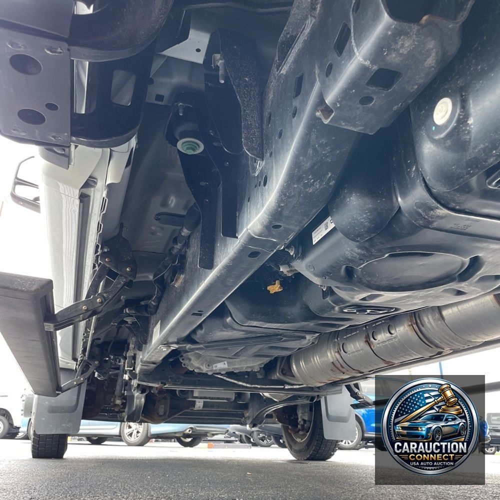 2024 Ford F450 S/D Platinum