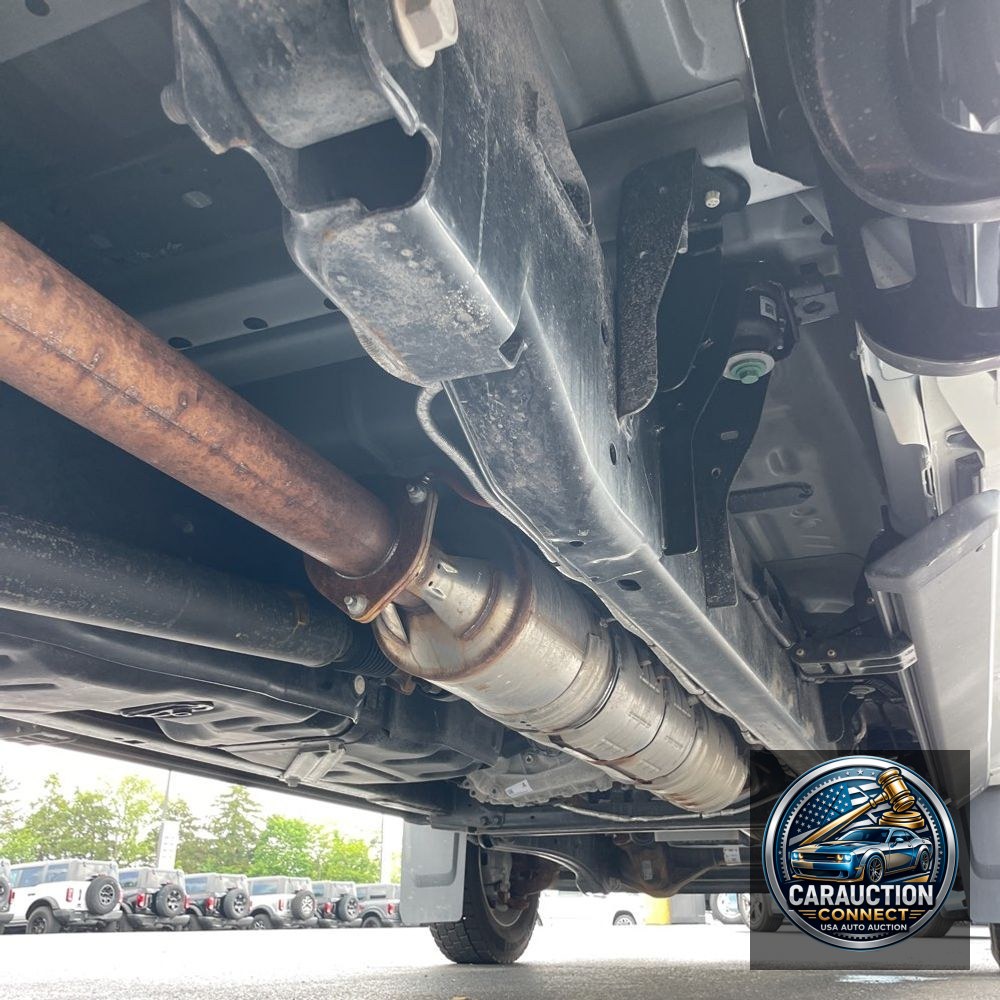 2024 Ford F450 S/D Platinum