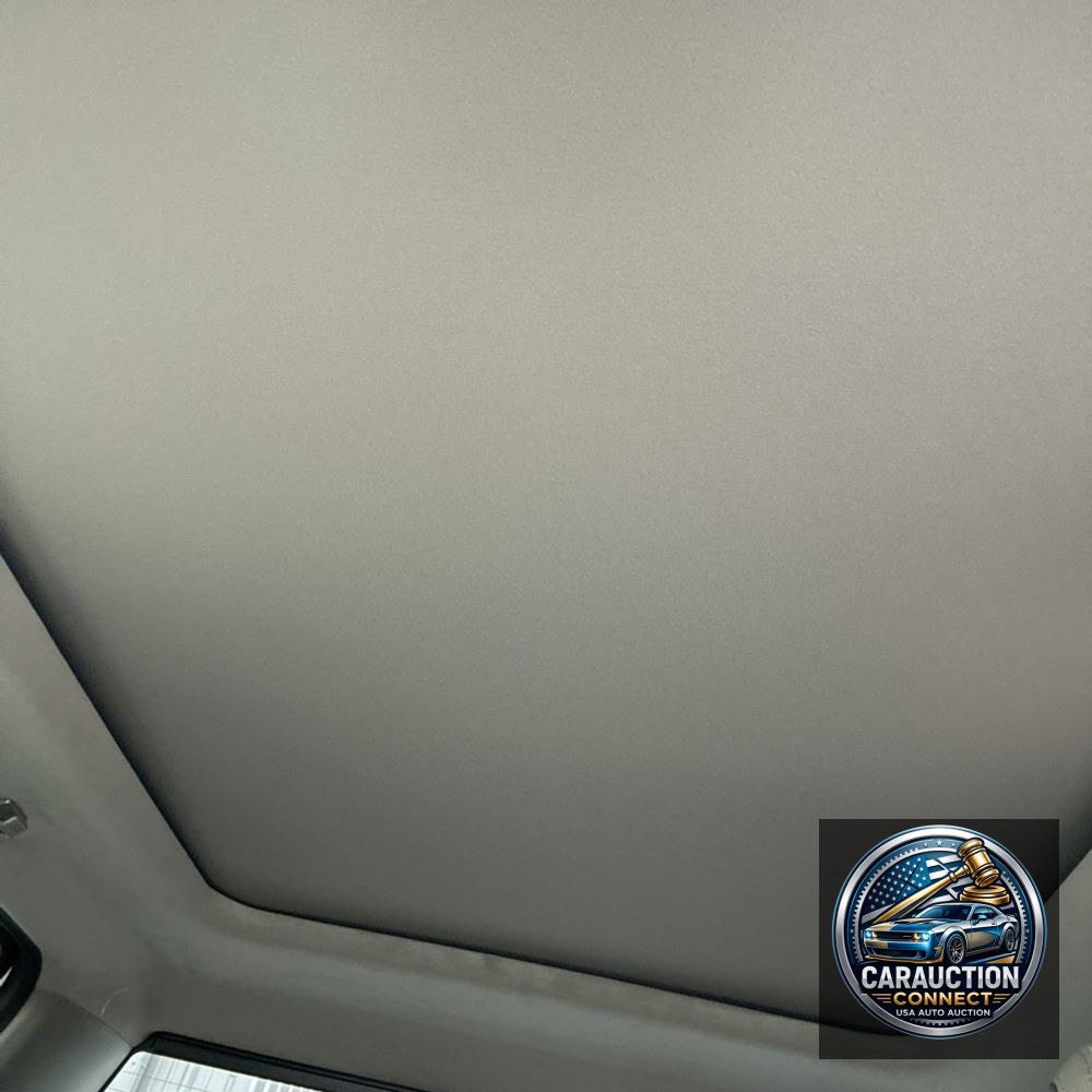 2025 Ford F450 S/D Platinum