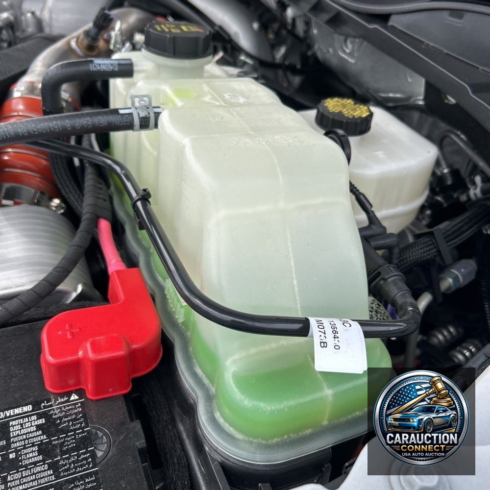 2025 Ford F450 S/D Platinum