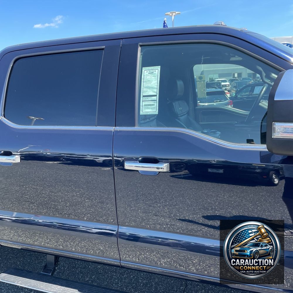 2024 Ford F-450 Super Duty Platinum