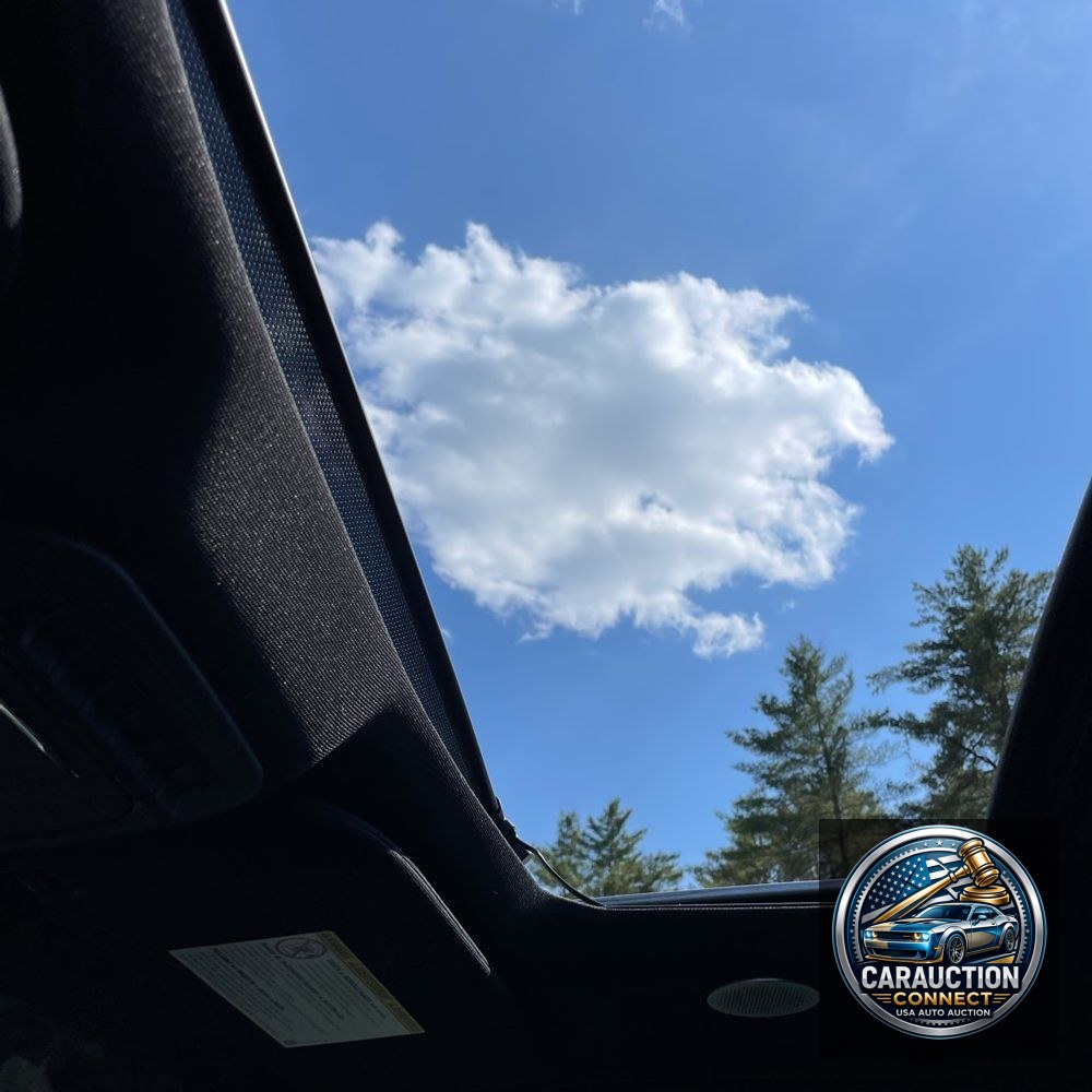 2024 Ford F450 S/D Platinum