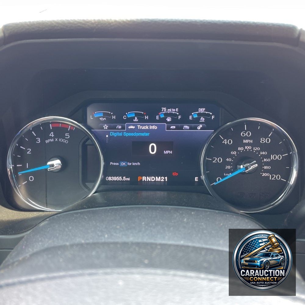 2019 Ford F450SD Platinum