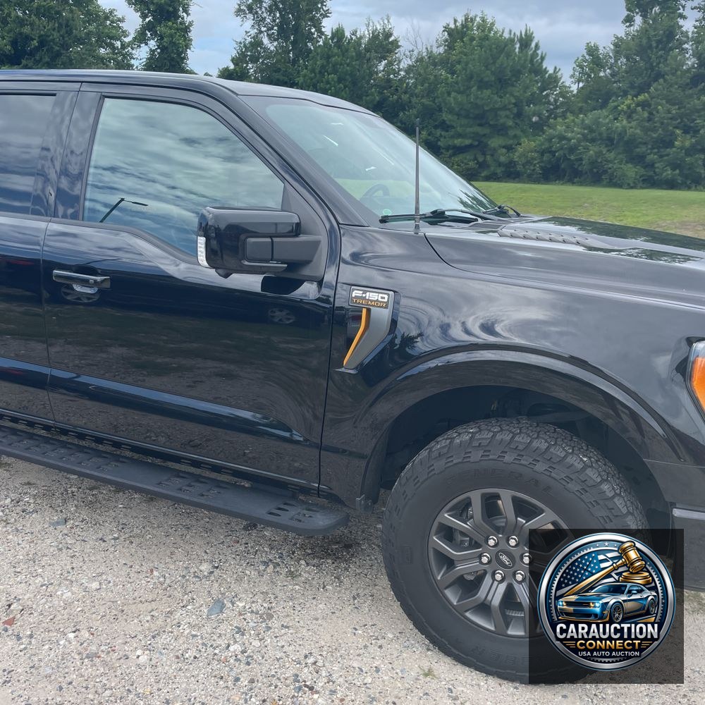 2021 Ford F-150 Tremor