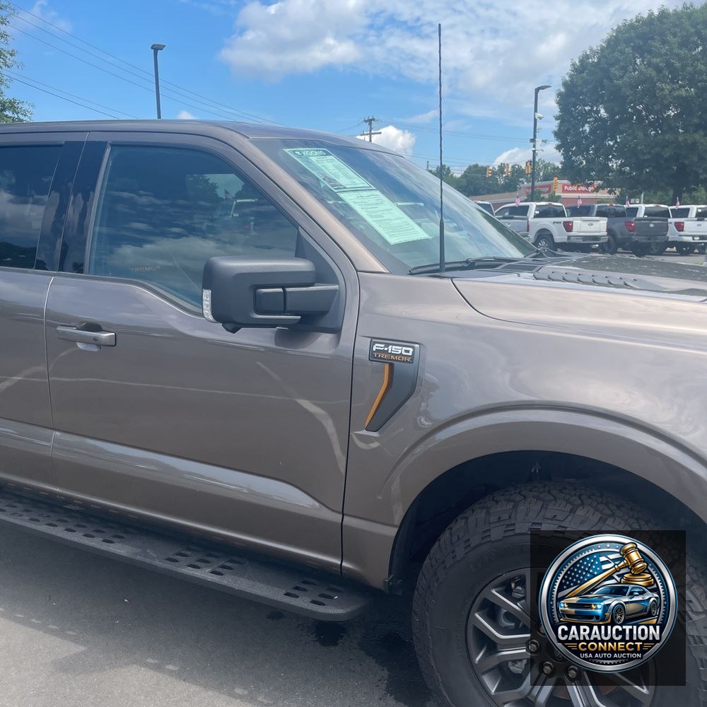 2021 Ford F-150 Tremor