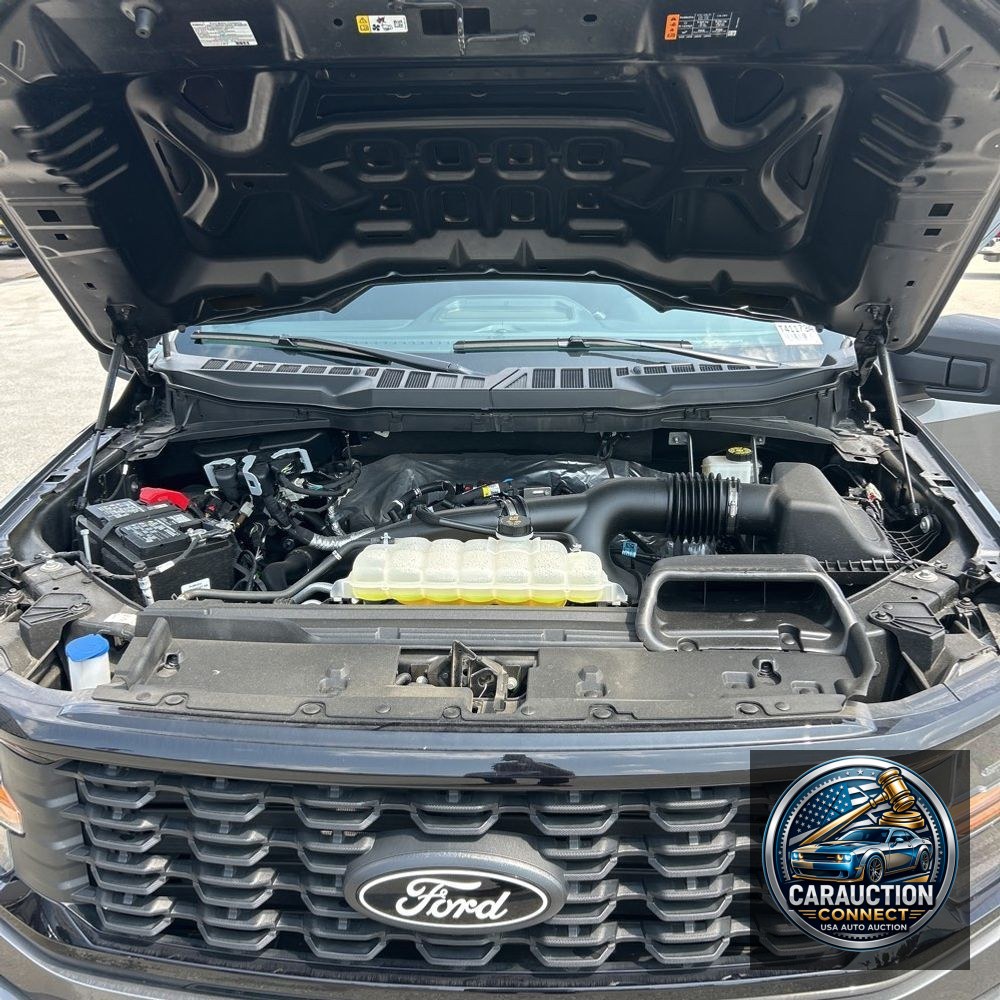 2024 Ford F-150 STX