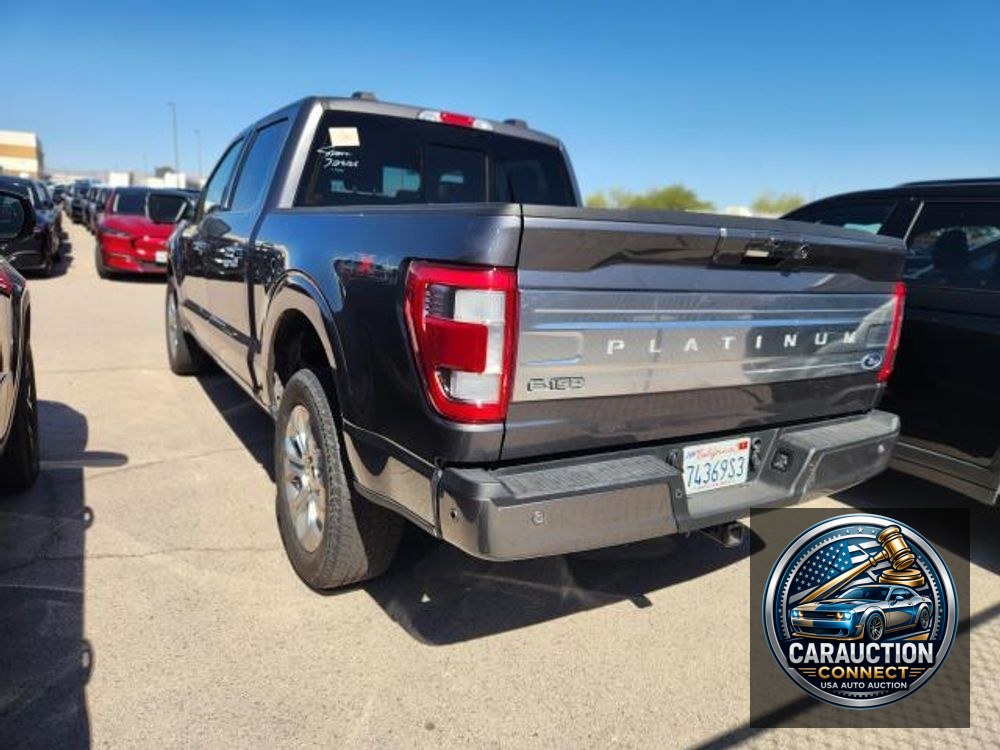 2023 Ford F-150 Platinum