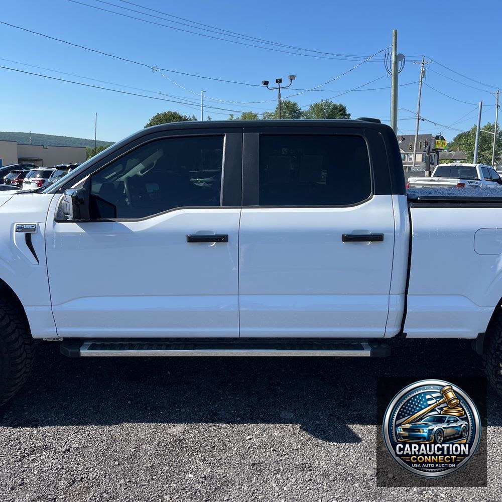 2023 Ford F150 XLT