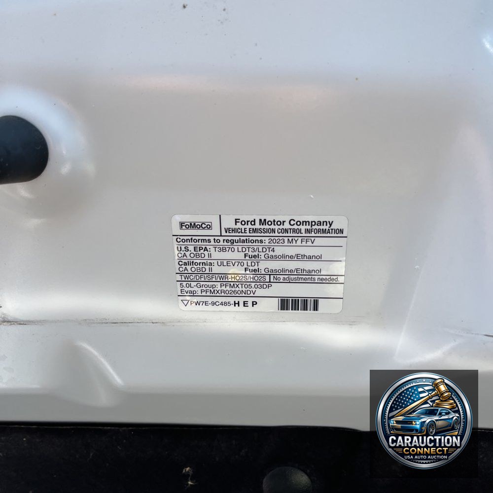 2023 Ford F150 XLT