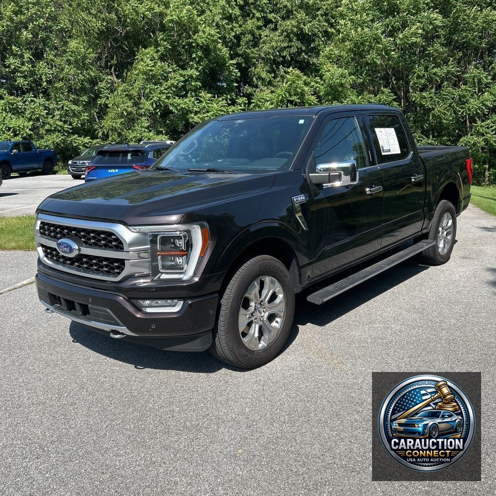 2021 Ford F-150 Platinum