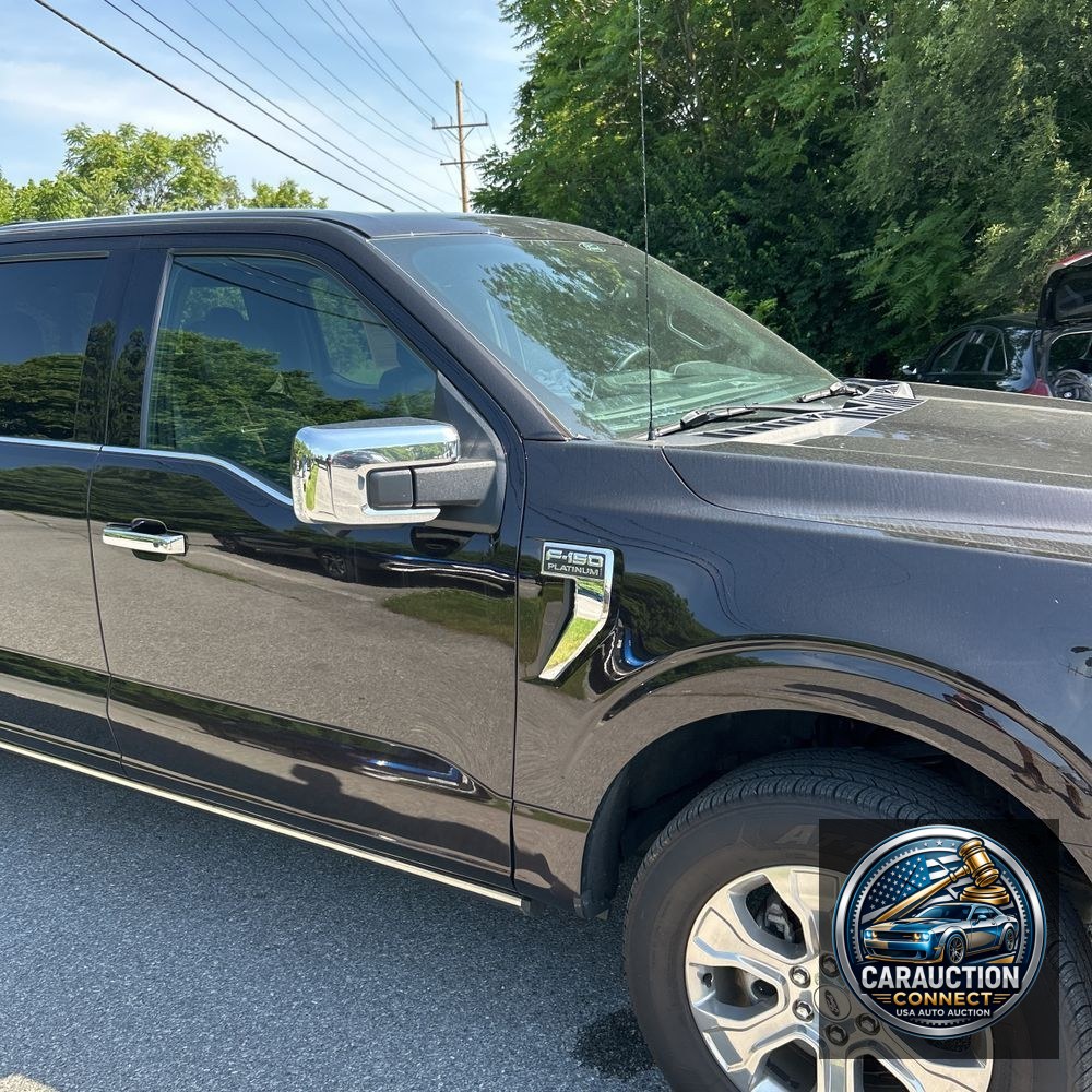 2021 Ford F-150 Platinum
