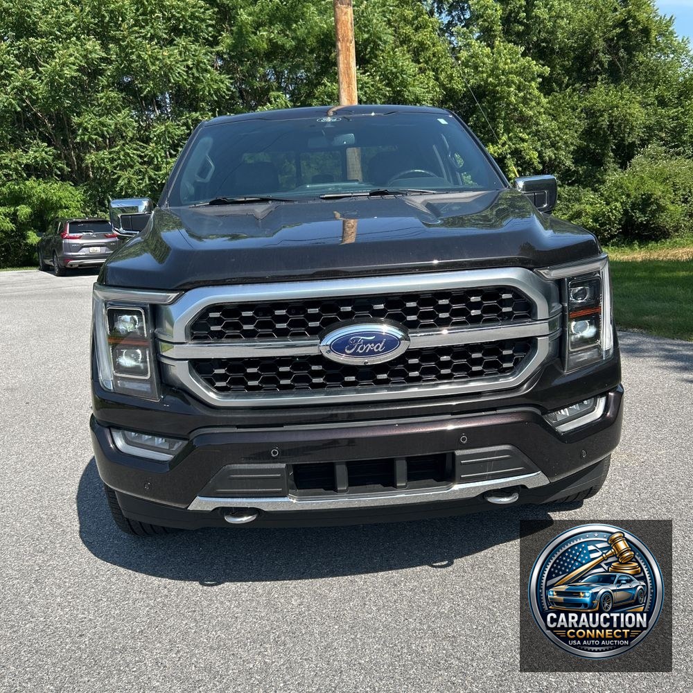 2021 Ford F-150 Platinum
