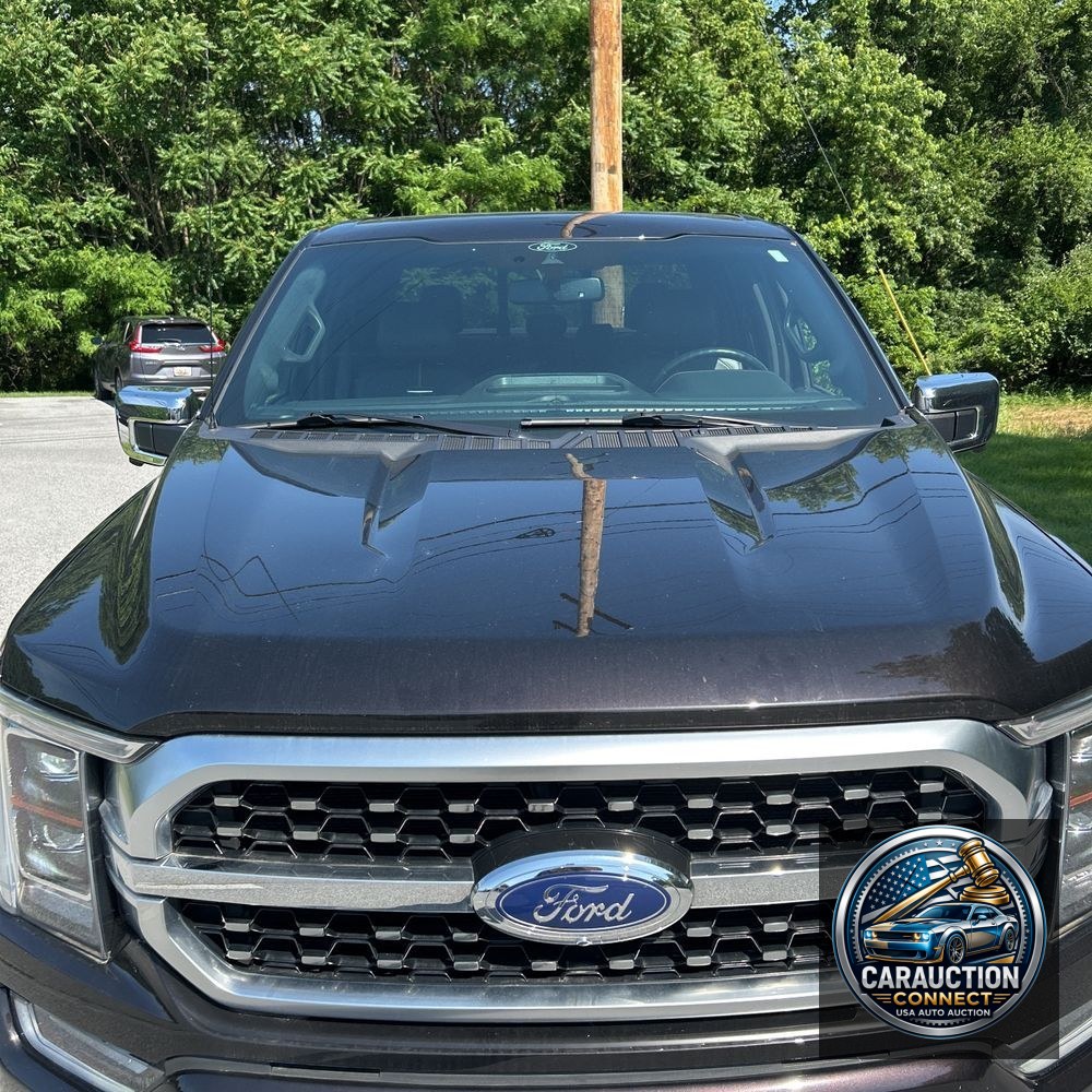 2021 Ford F-150 Platinum