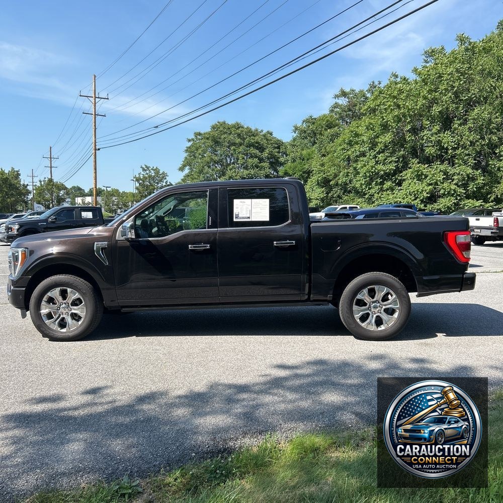2021 Ford F-150 Platinum
