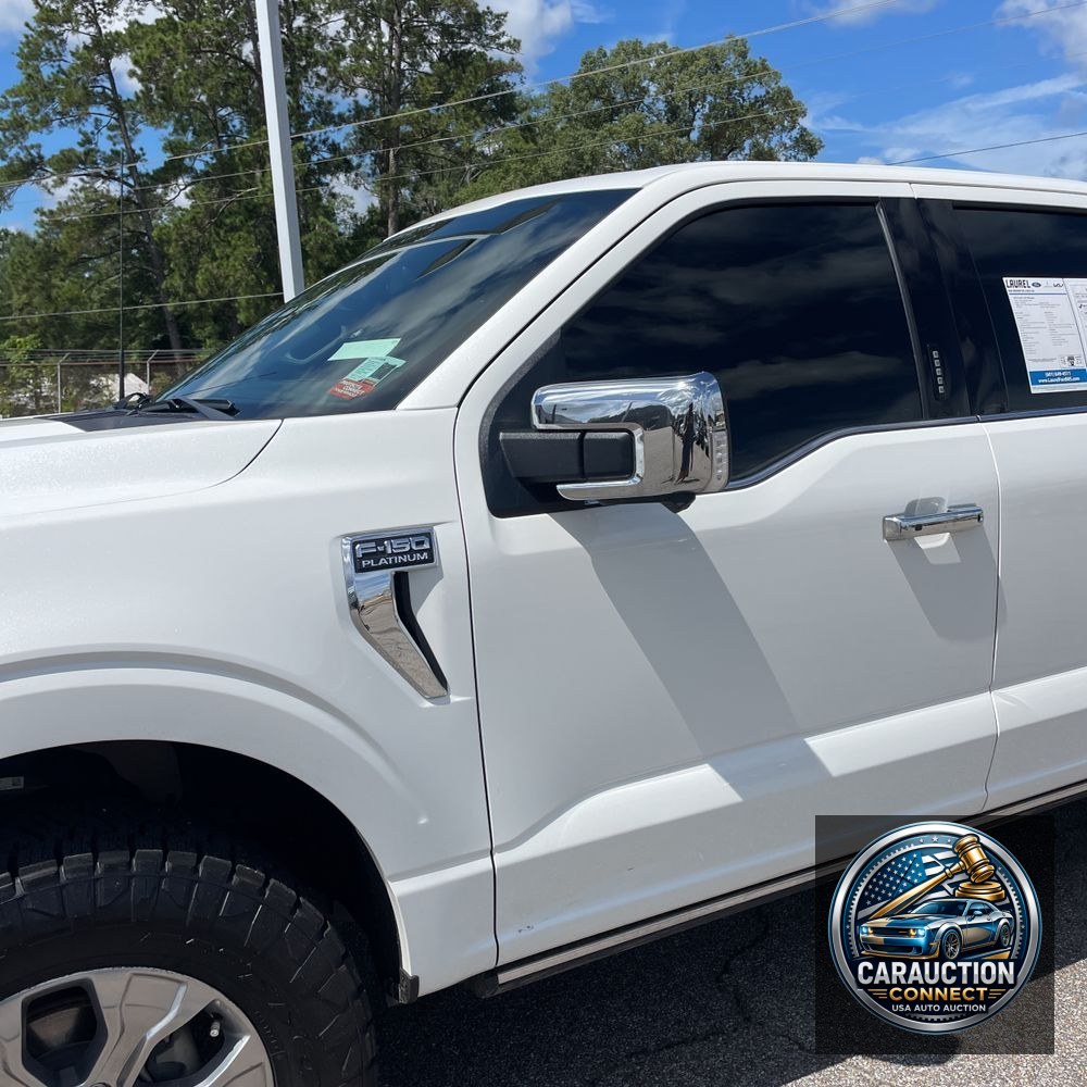 2022 Ford F150 Platinum