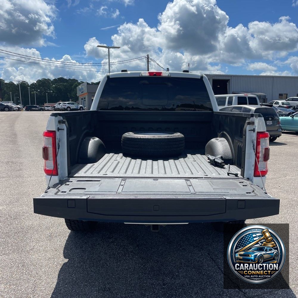 2022 Ford F150 Platinum