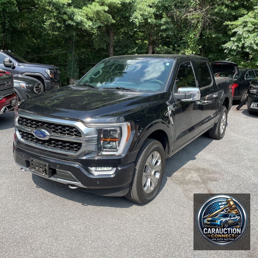 2021 Ford F-150 Platinum