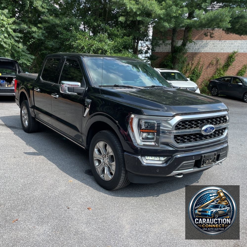 2021 Ford F-150 Platinum
