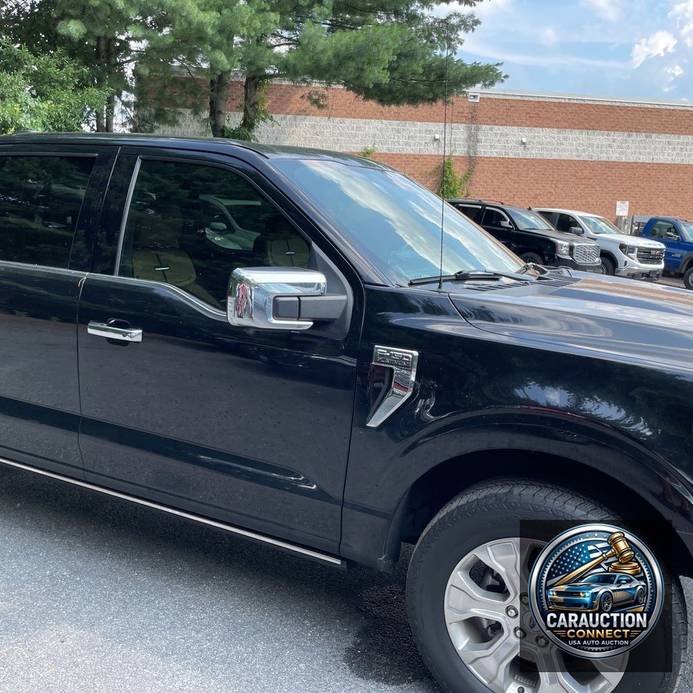 2021 Ford F-150 Platinum