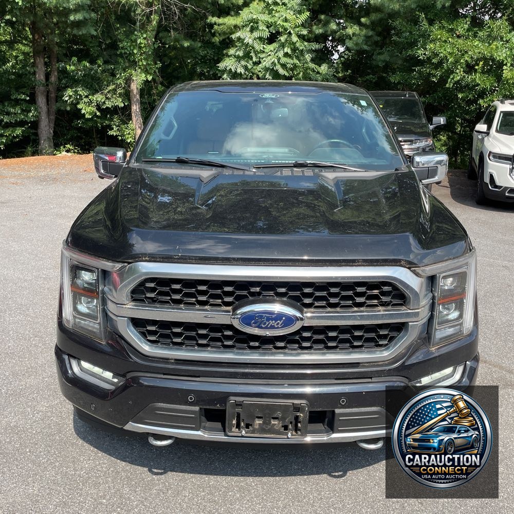 2021 Ford F-150 Platinum