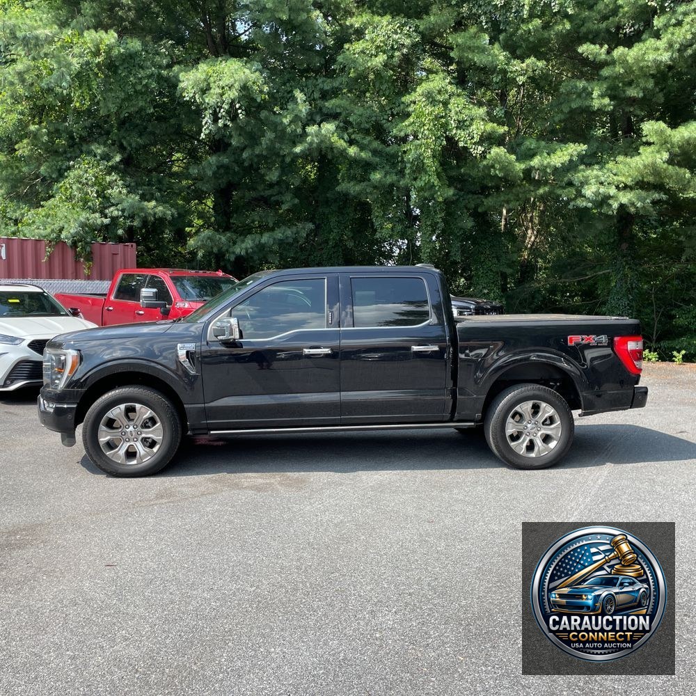 2021 Ford F-150 Platinum